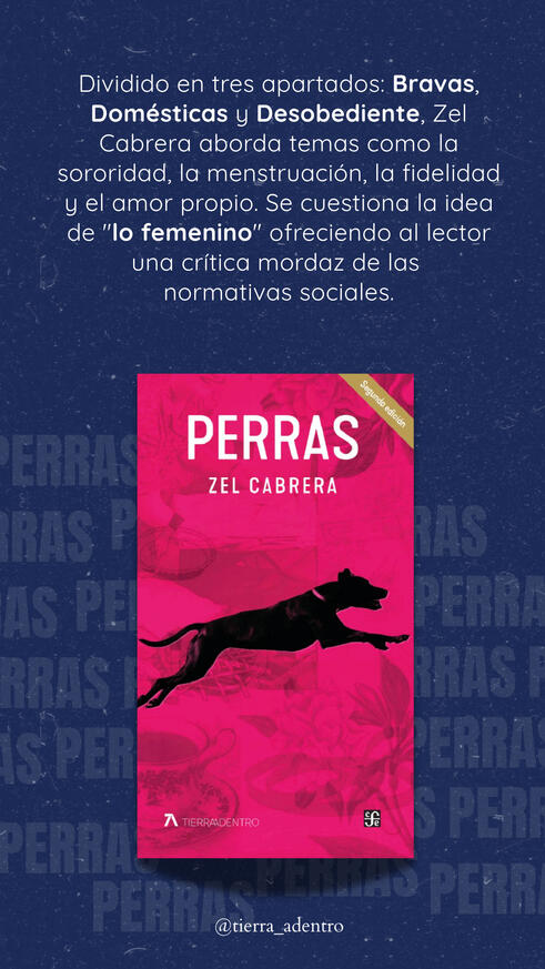 Proyecto: Especial de autores venezolanos Tipo: Carrusel editorial para Instagram Rol: Diseño gráfico + selección tipográfica + jerarquía visual Herramientas: Canva / Photoshop (según lo que hayas usado)